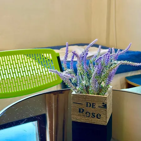 Comfortable In Summer Breeze Napospart