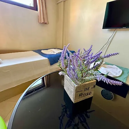 Apartman Comfortable In Summer Breeze