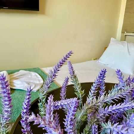 Apartman Comfortable In Summer Breeze